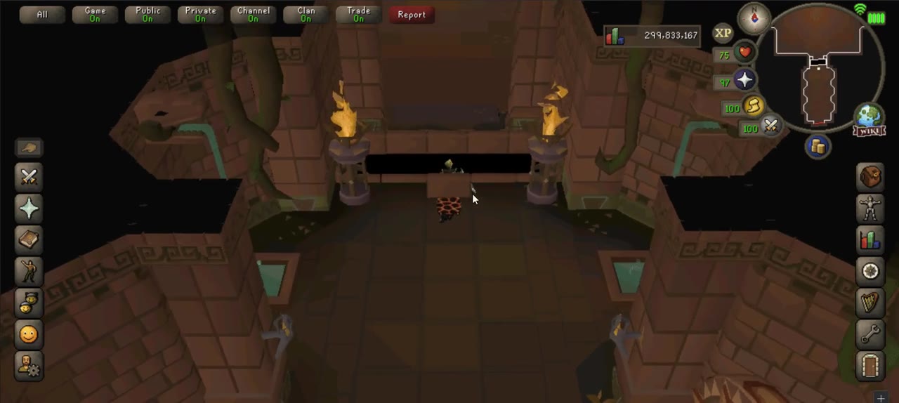 Mobile Support